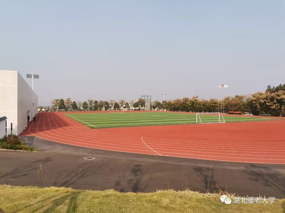 缓老大学走进*战野**国防园