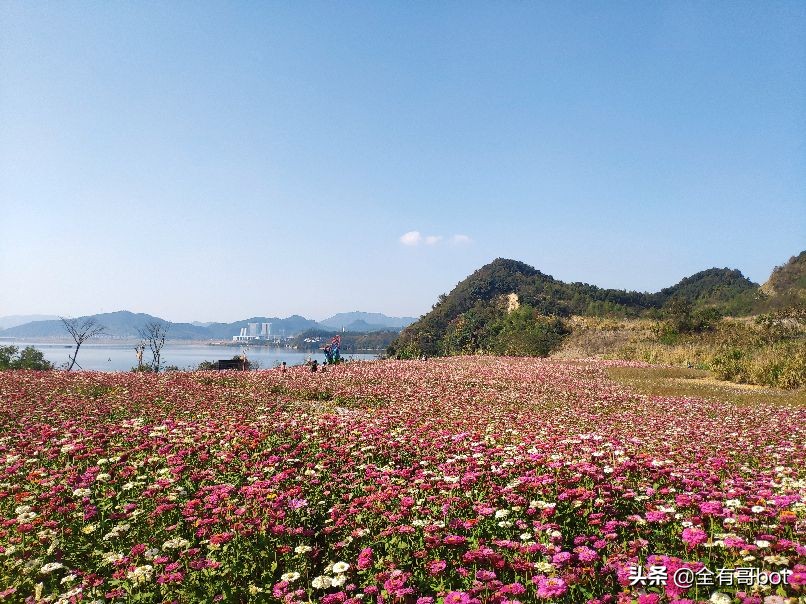 青龙湖环岛骑行攻略,青山湖绕湖骑行攻略