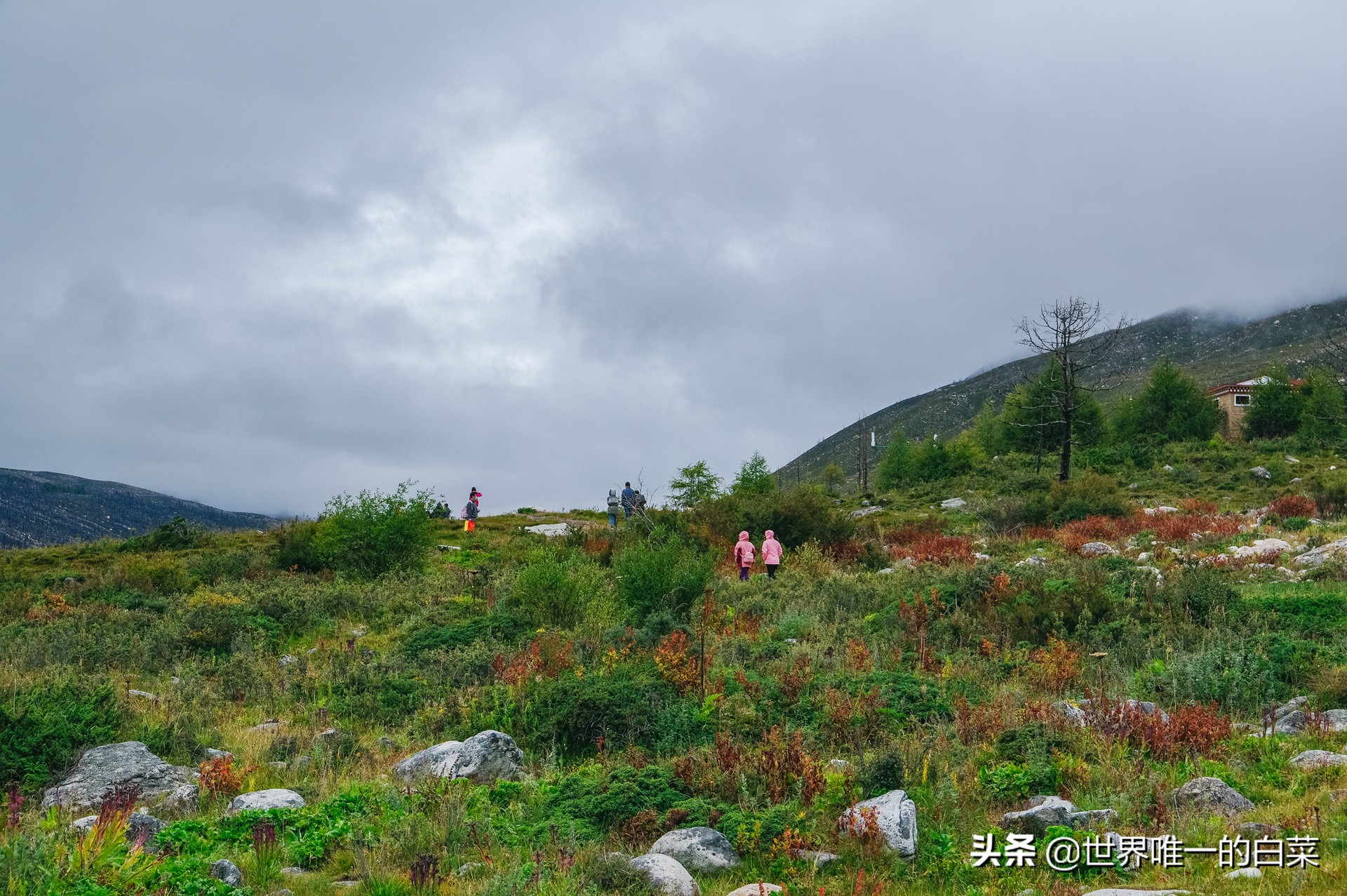 康定情歌川西旅游,318川西康定木格措