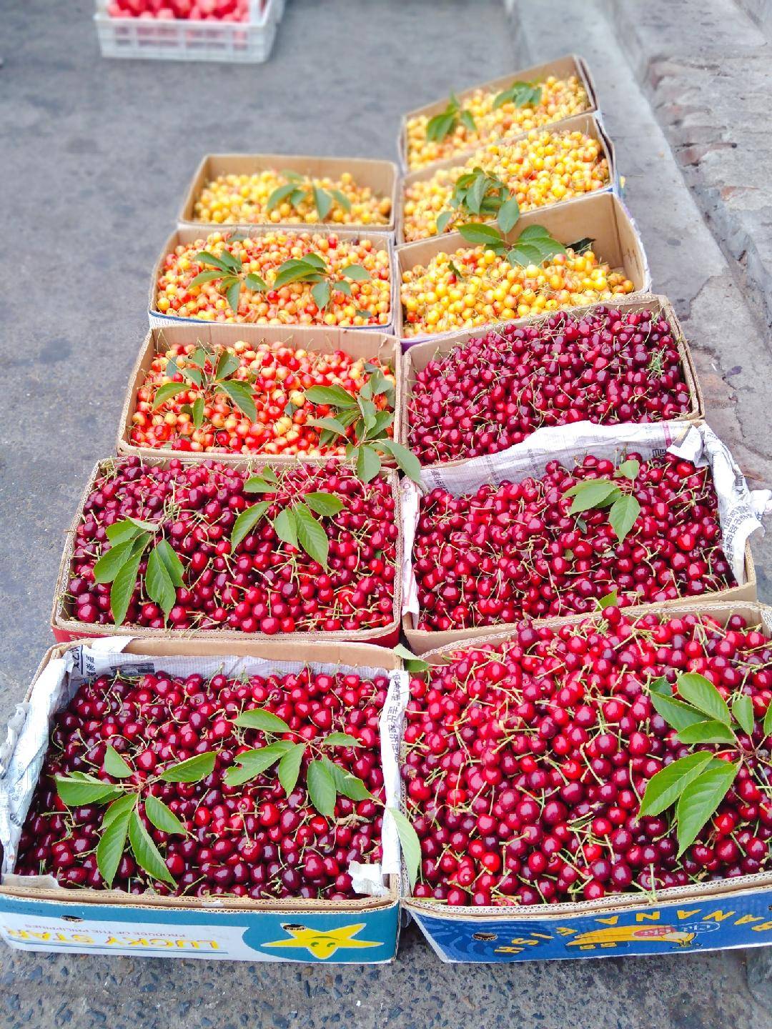 10元的鲍鱼能买吗,10元一斤的鲍鱼