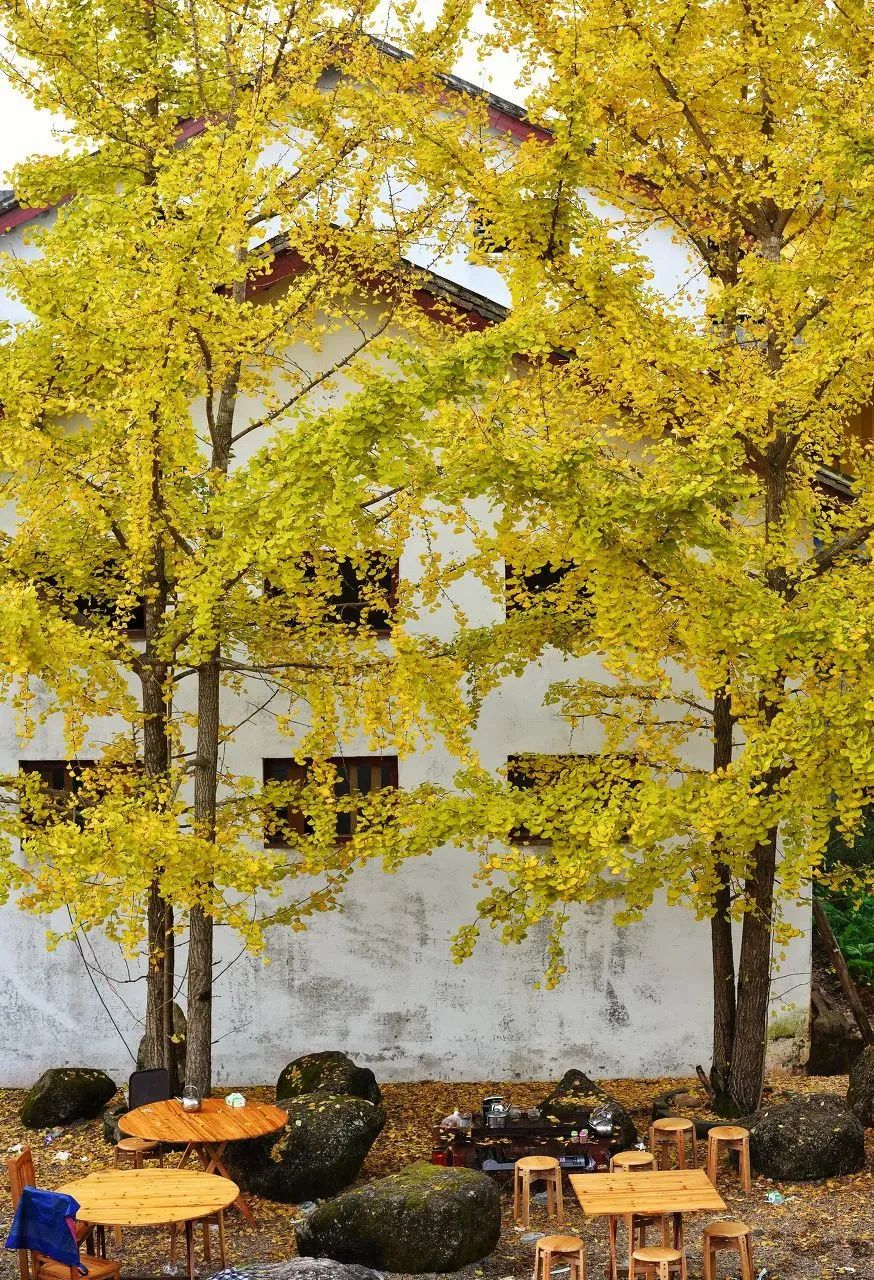 逐梦韶关:粤北这方山水,如此多情!怎可不来?