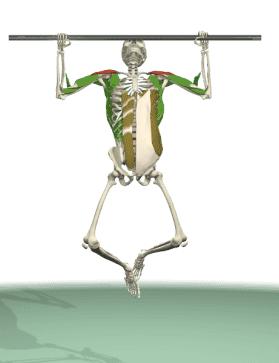 教你怎么逆袭变帅,变帅提建议