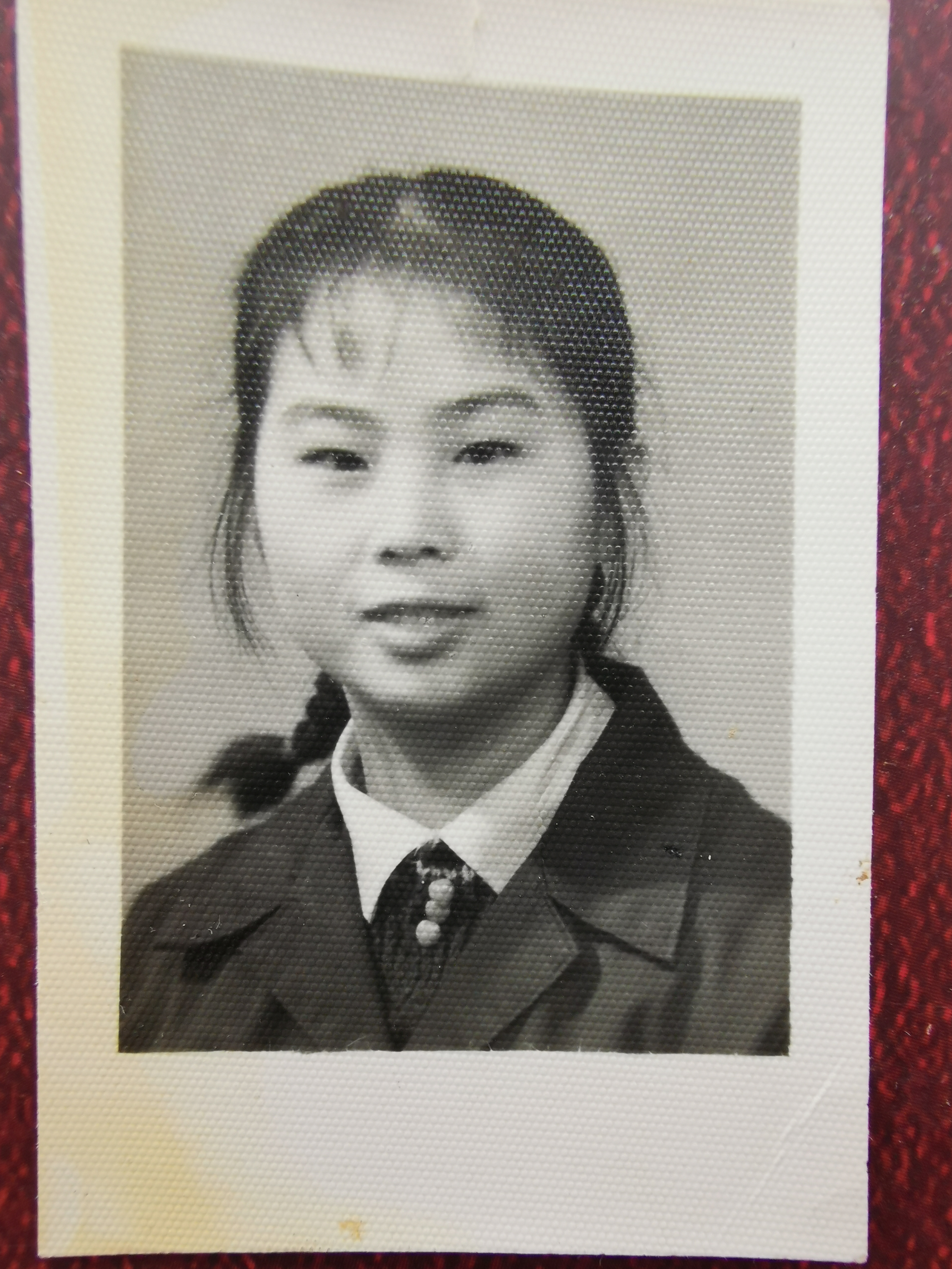 已走过的路无需回头看,已走过的路回不去