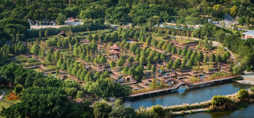厦门看荷花哪里好,厦门荷花观赏地