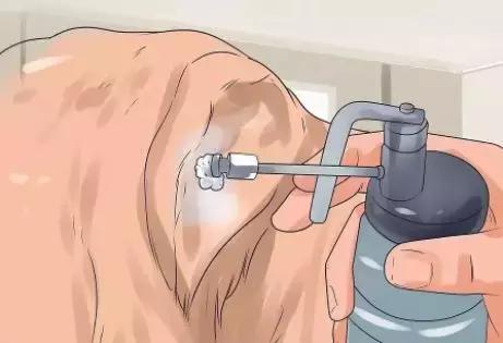 狗狗身上瘊子怎么去除,狗狗身上的斑点怎么去除