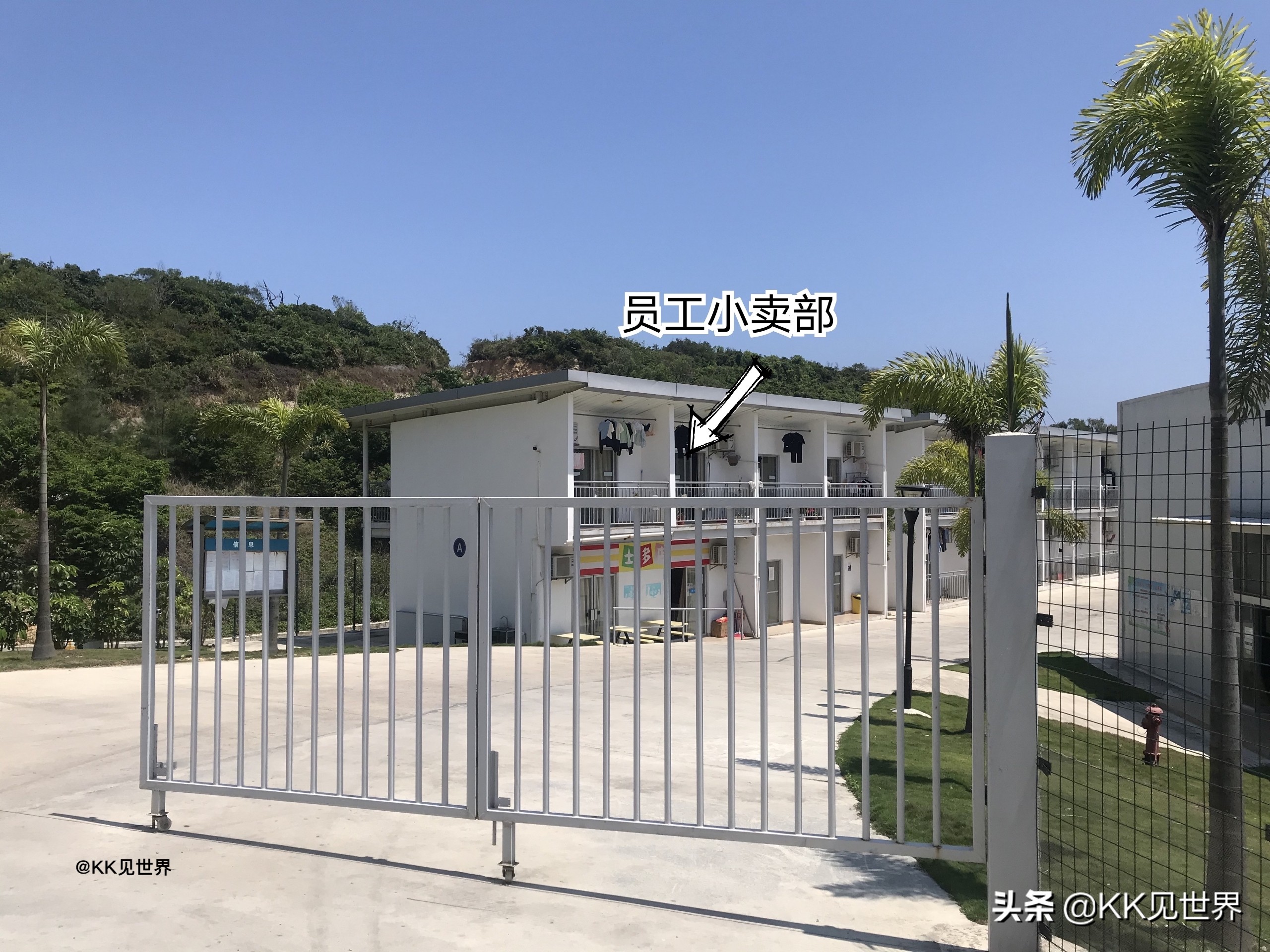 东澳岛露营场地费,珠海东澳岛晚上能玩吗