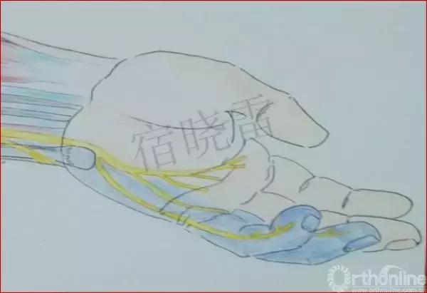 手绘科普视频,手绘类科普