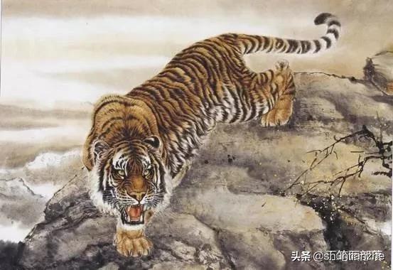 工笔老虎技法教学视频,工笔老虎胸毛的撕毛法