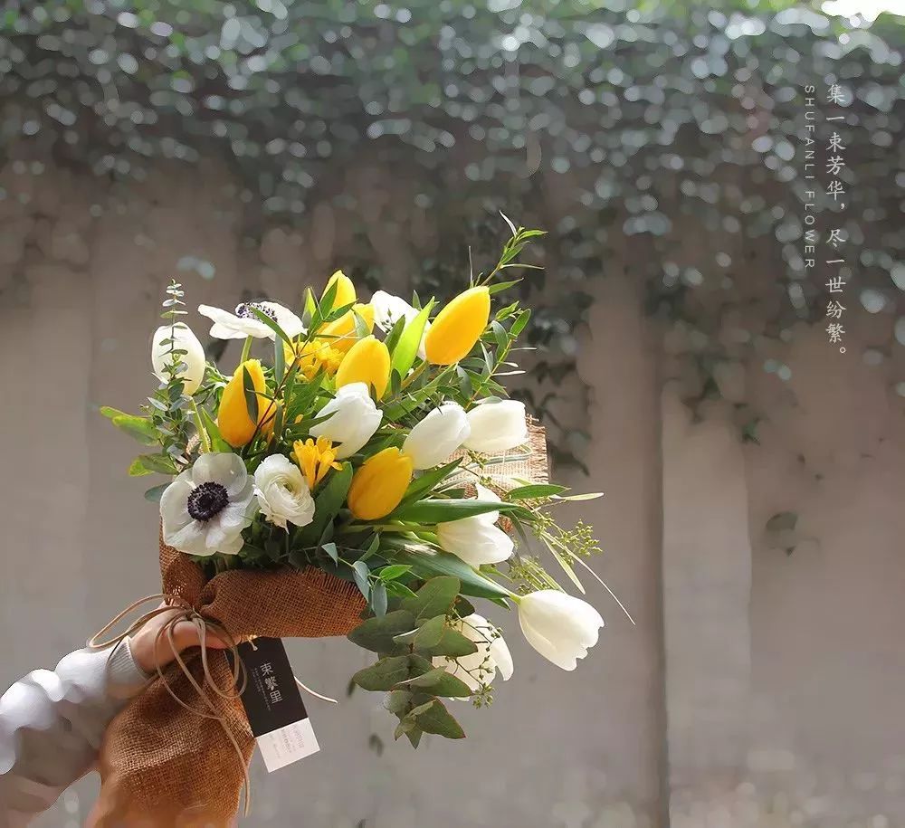 教师节应该给老师送什么花,教师节到了送什么花给老师好呢