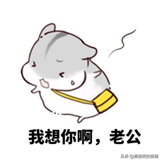 幽默笑话我不怕鬼,关于箱子的幽默笑话