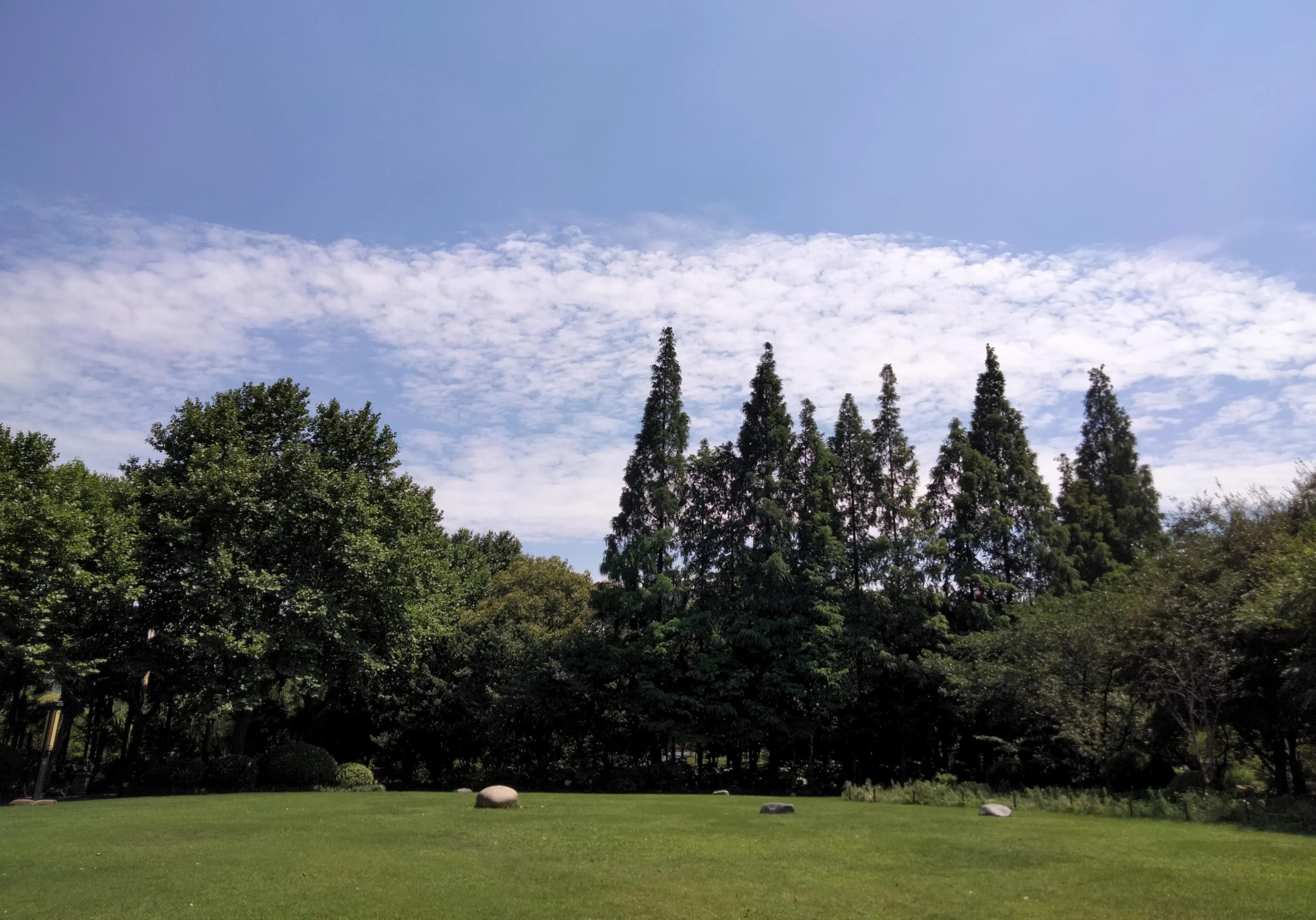 上海30座公园24小时开放长风公园,长风公园在上海公园排名