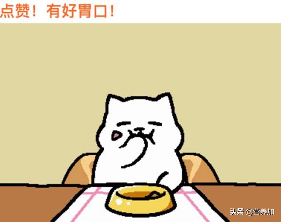 虾酱代替盐靠谱吗？