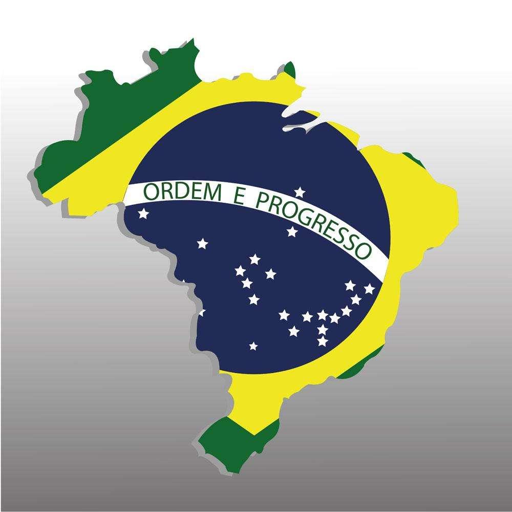 巴西工作签证办理流程,巴西签证办理流程和费用