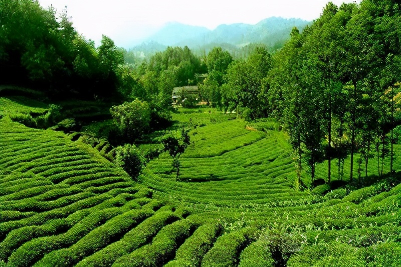 汉中市西乡县的景区,汉中西乡有哪些好玩的景点