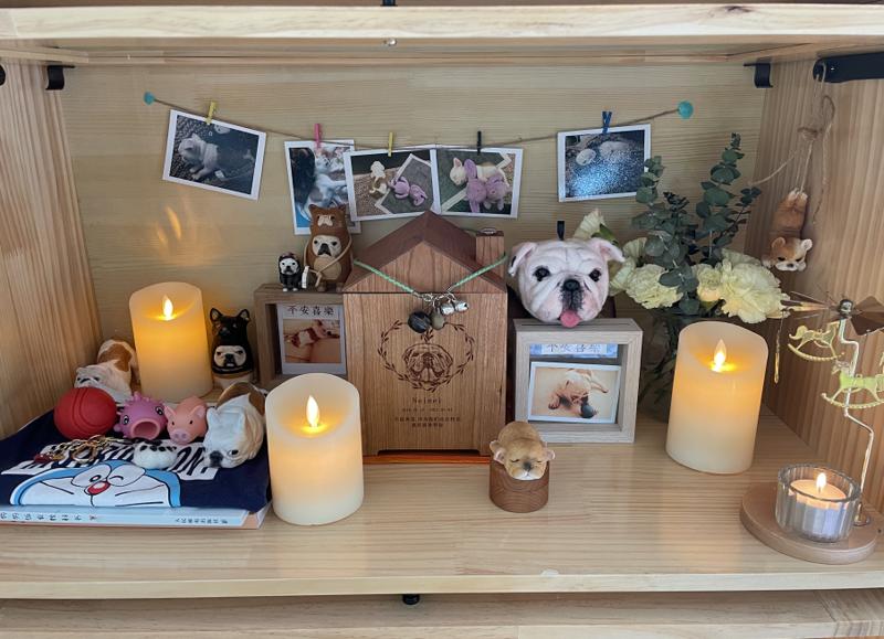 和宠物告别,和宠物告别嚎啕大哭