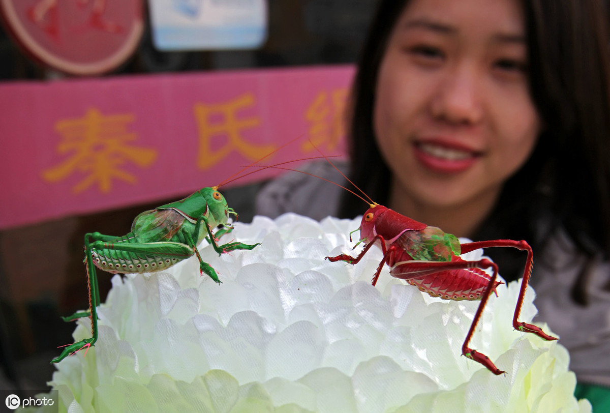 蝈蝈传统饲养,饲养蝈蝈的历史