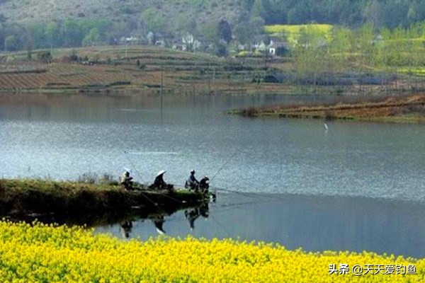 夏季钓花骨鱼钓法技巧,花骨鱼的垂钓技巧