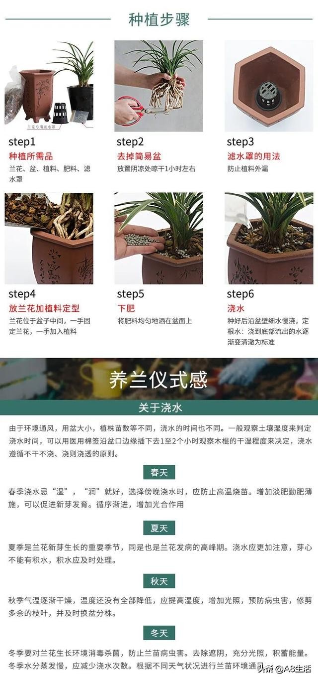 每日一品全文,每日一品花卉