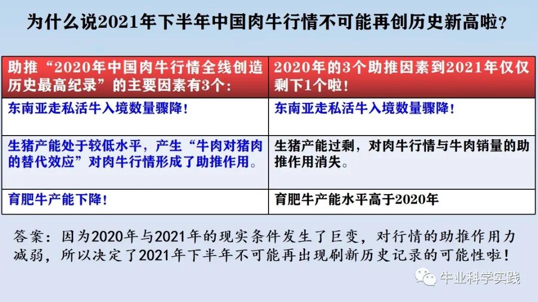 2022年中国肉牛行情走势分析报告,2024年六月份肉牛行情走势