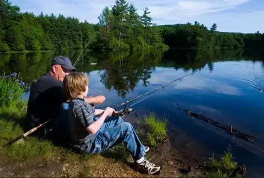 伊布除了足球还擅长什么运动,伊布除了足球还会什么