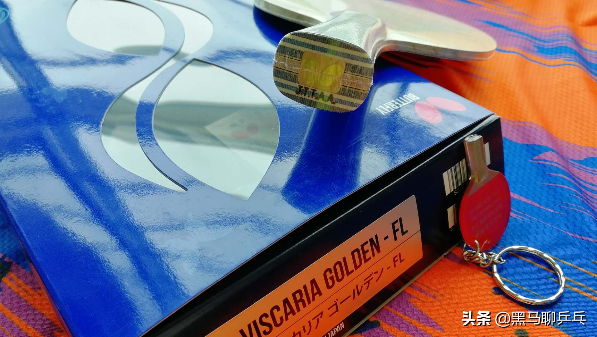 每周乒器观察57：大胖的“度数”，金标Vis，飞龙