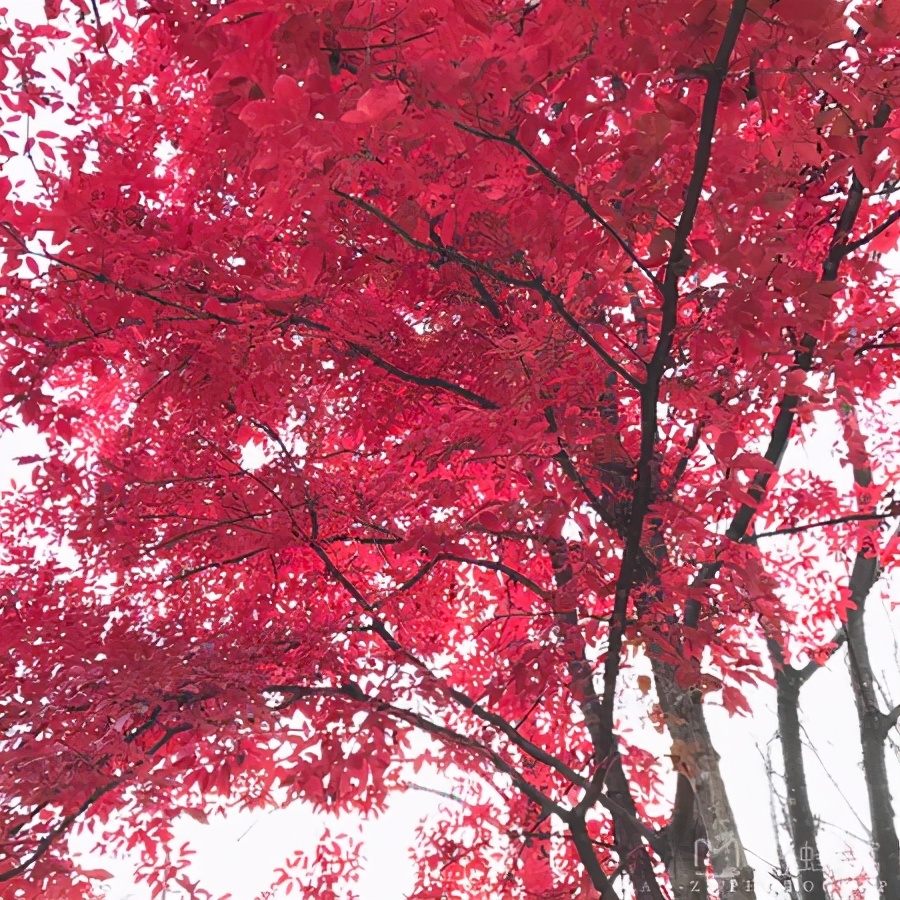 浅谈全国各省份,辽宁省本溪市地域分析