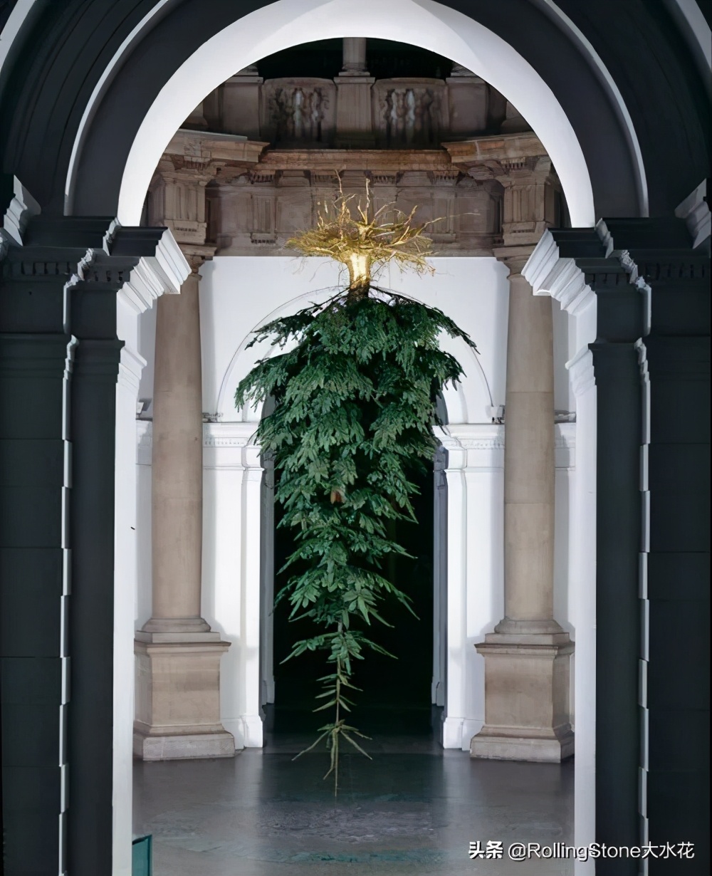 你所消费的圣诞节跟他们的有什么不一样？