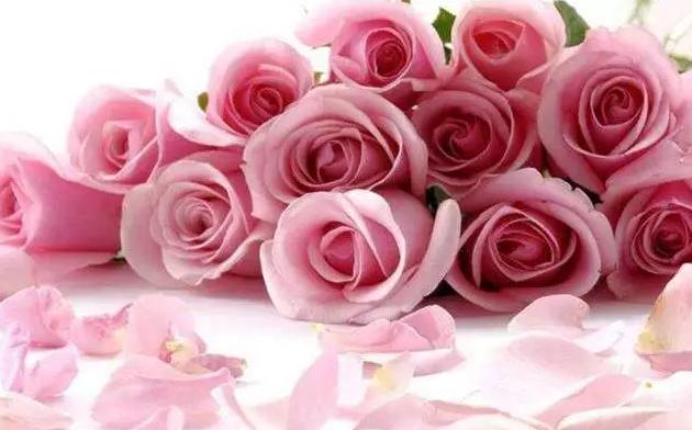 玫瑰精油骗局揭秘,玫瑰精油淡斑真相