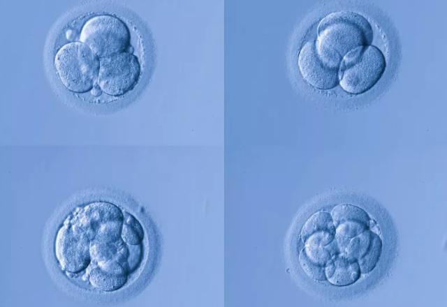 鑻卞浗濂冲瓙缃戜笂璐拱閽堢瓛,閽堢瓛浜哄伐鎺堢簿