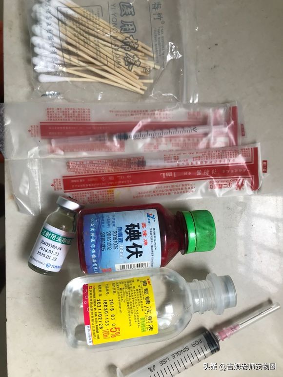 乌龟放水里一直游到岸边怎么办,乌龟溺水后眼睛是睁的还是闭的