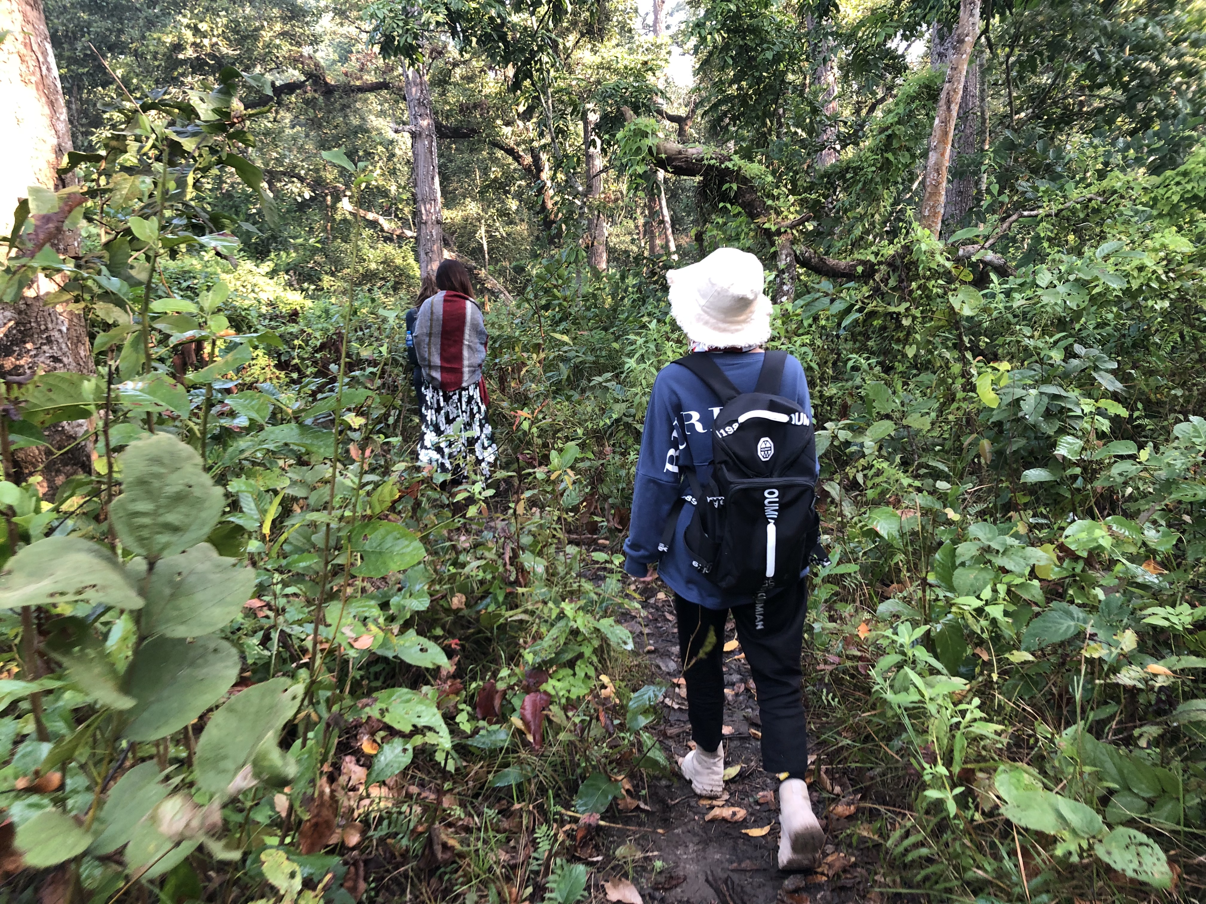 尼泊尔自由行旅游攻略,尼泊尔自驾游纯玩路线定制