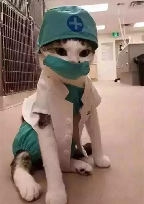 鍘诲尰闄笉瑕侀偅涔堝搴熻瘽,鍘诲尰闄㈣兘涓嶈兘璇磄otohospital