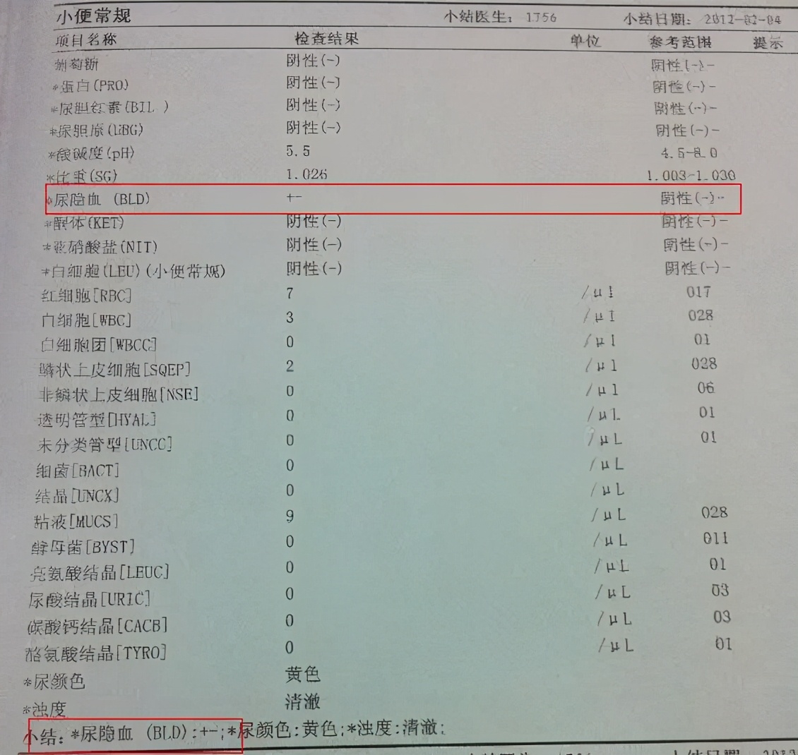 重点专科划重点|血尿和尿液发红是一回事吗?
