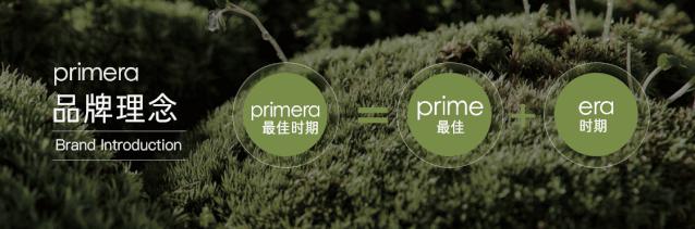 不会ppt模板怎么办,不会拍图片怎么办