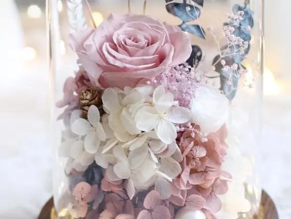 满天星永生花和干花区别,永生花和干花区别简单易懂