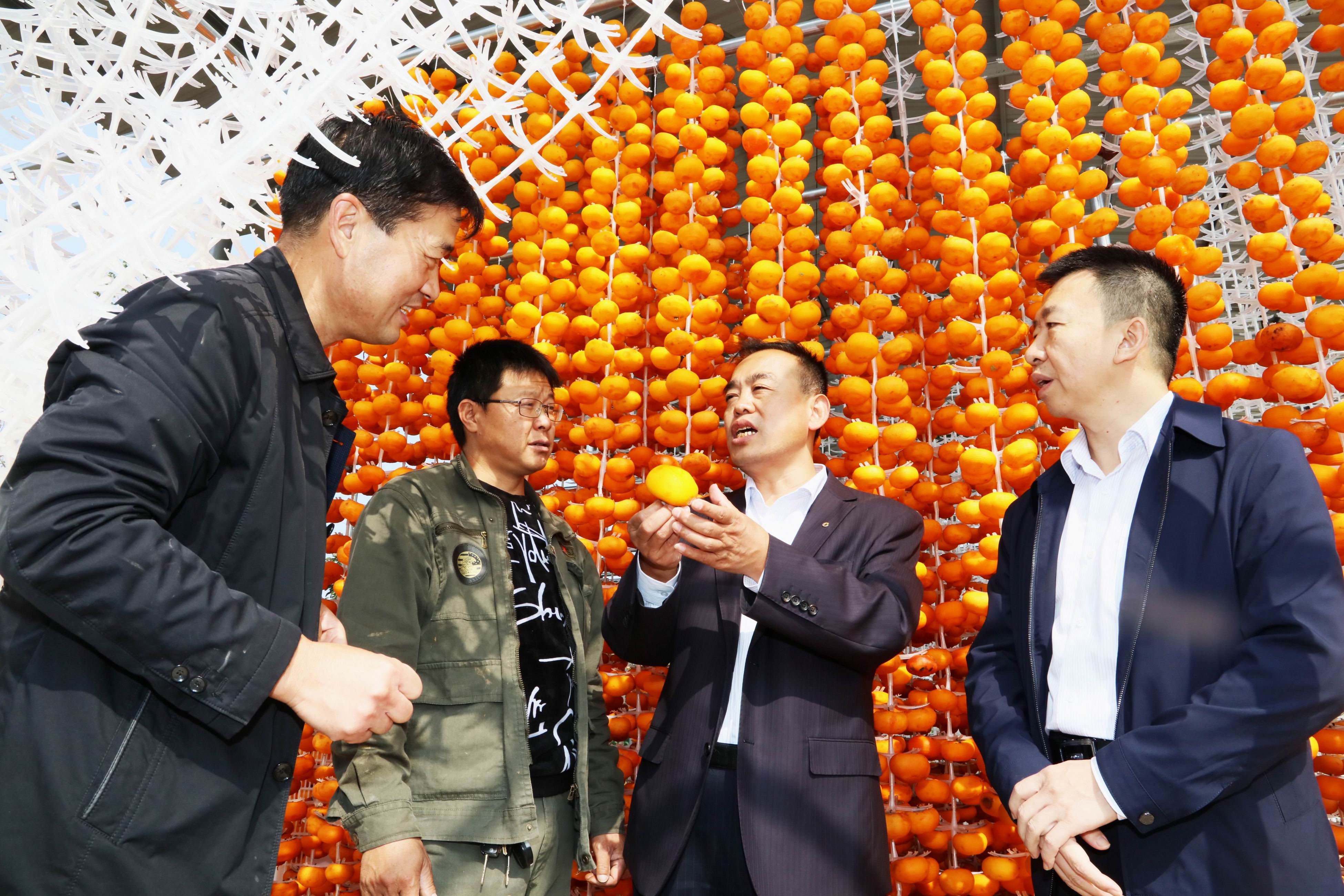 柿子为什么有黄色跟红色,柿子怎么才能红