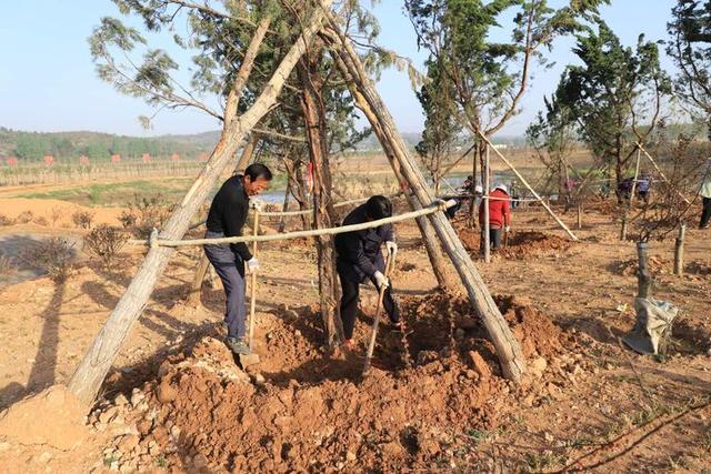 浠ユ按娑﹀煄,娑﹀煄娌抽亾娌荤悊宸ョ▼