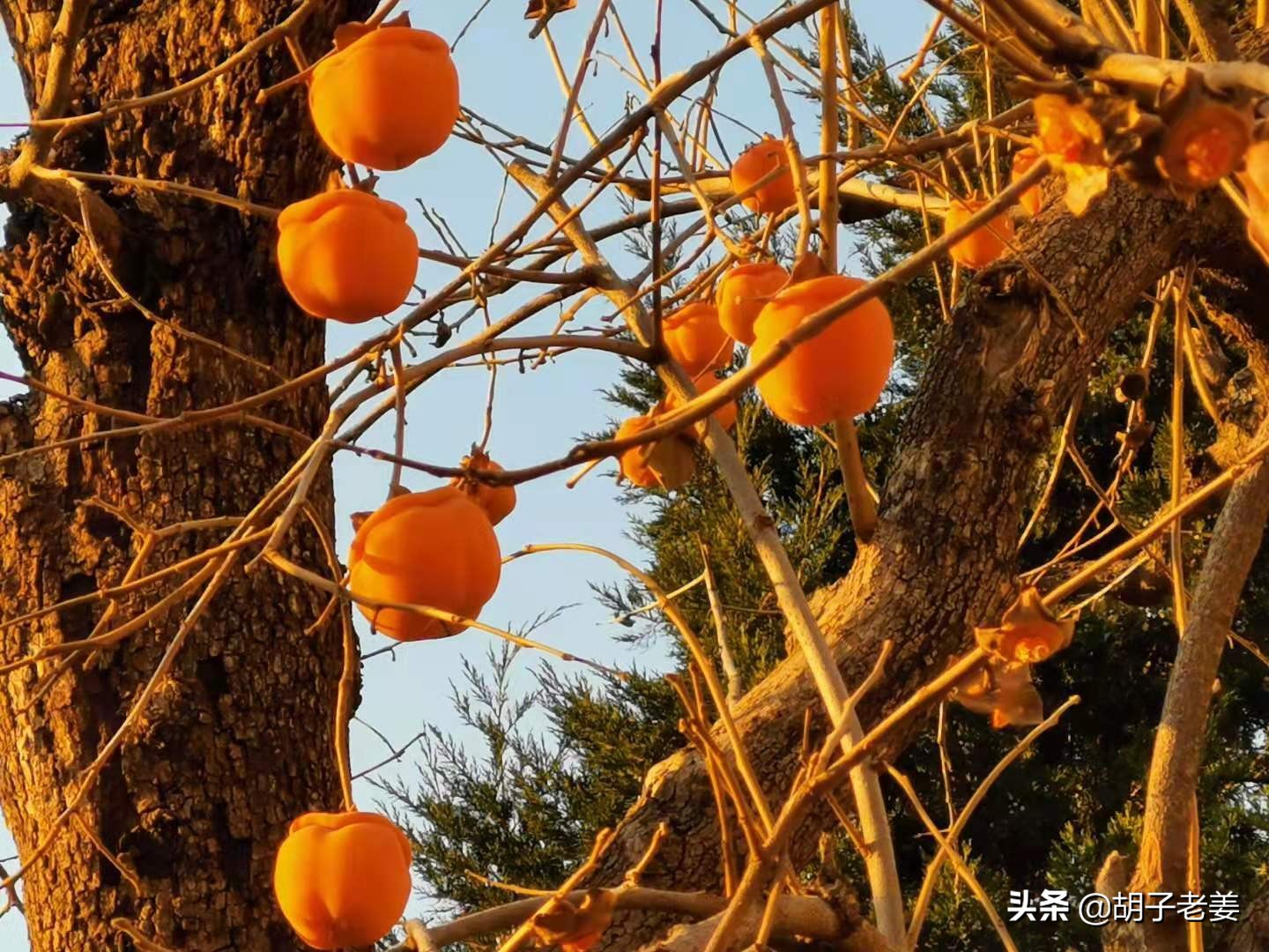 粮食店街：酱菜的扛把子和二锅头的发源地