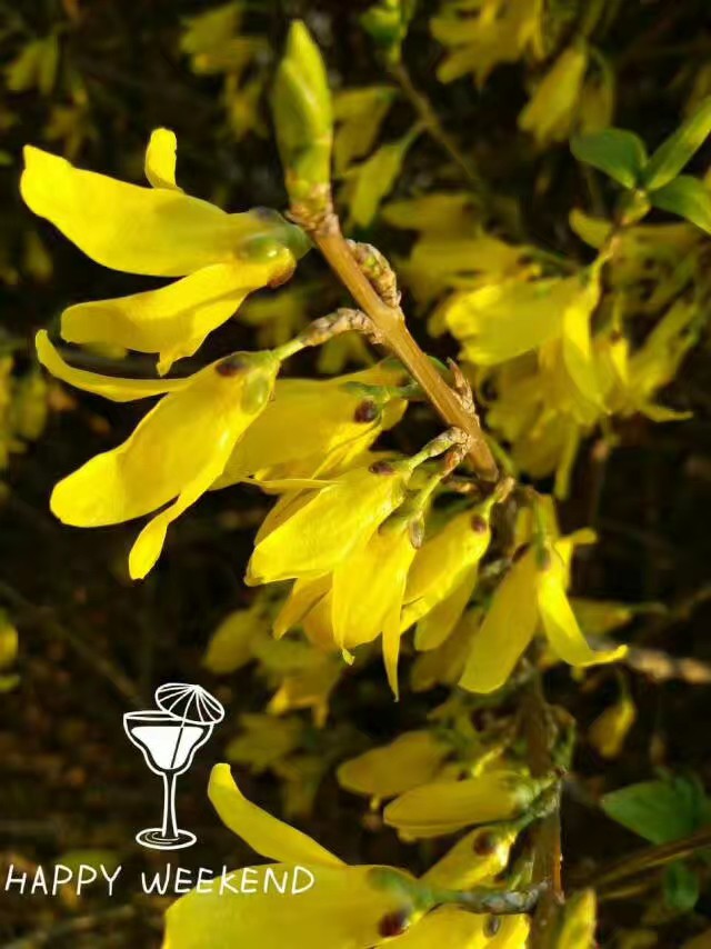 不解风情的雨季,不解风情的风