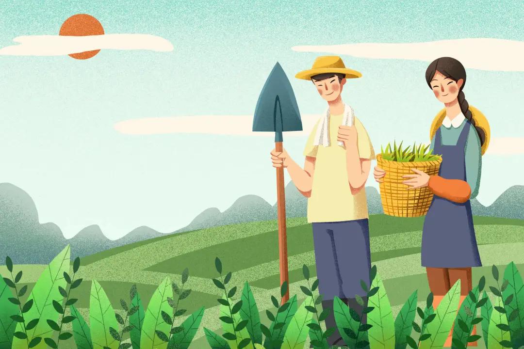 高职生“学农从农”意愿增强,看他们如何带领家乡走向致富