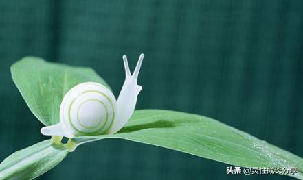 灵性觉醒篇32：什么是业力，业力是固定的吗，它从哪里来？