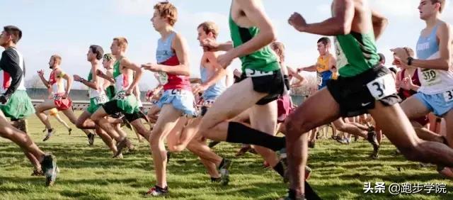 跑者专项体能综合力量训练,初跑者如何跑步锻炼心肺和体能