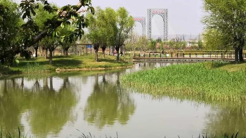 宝鸡高新打出四张“王牌”征战2020，力挺西宝“双子星”！