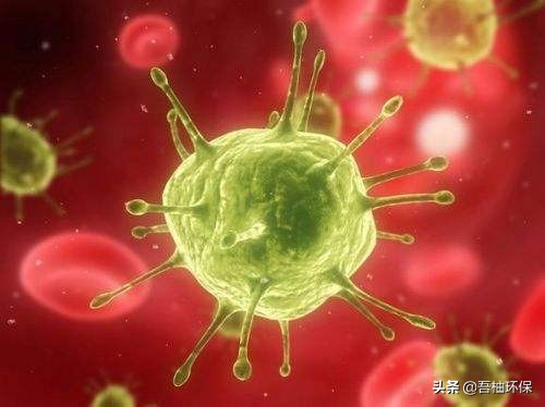 孕妇住了几天甲醛房会胎儿畸形吗,怀孕了可以住新装修房子吗