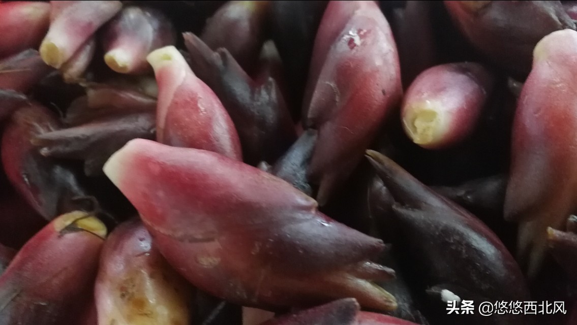 贵州行影像,贵州之旅day1