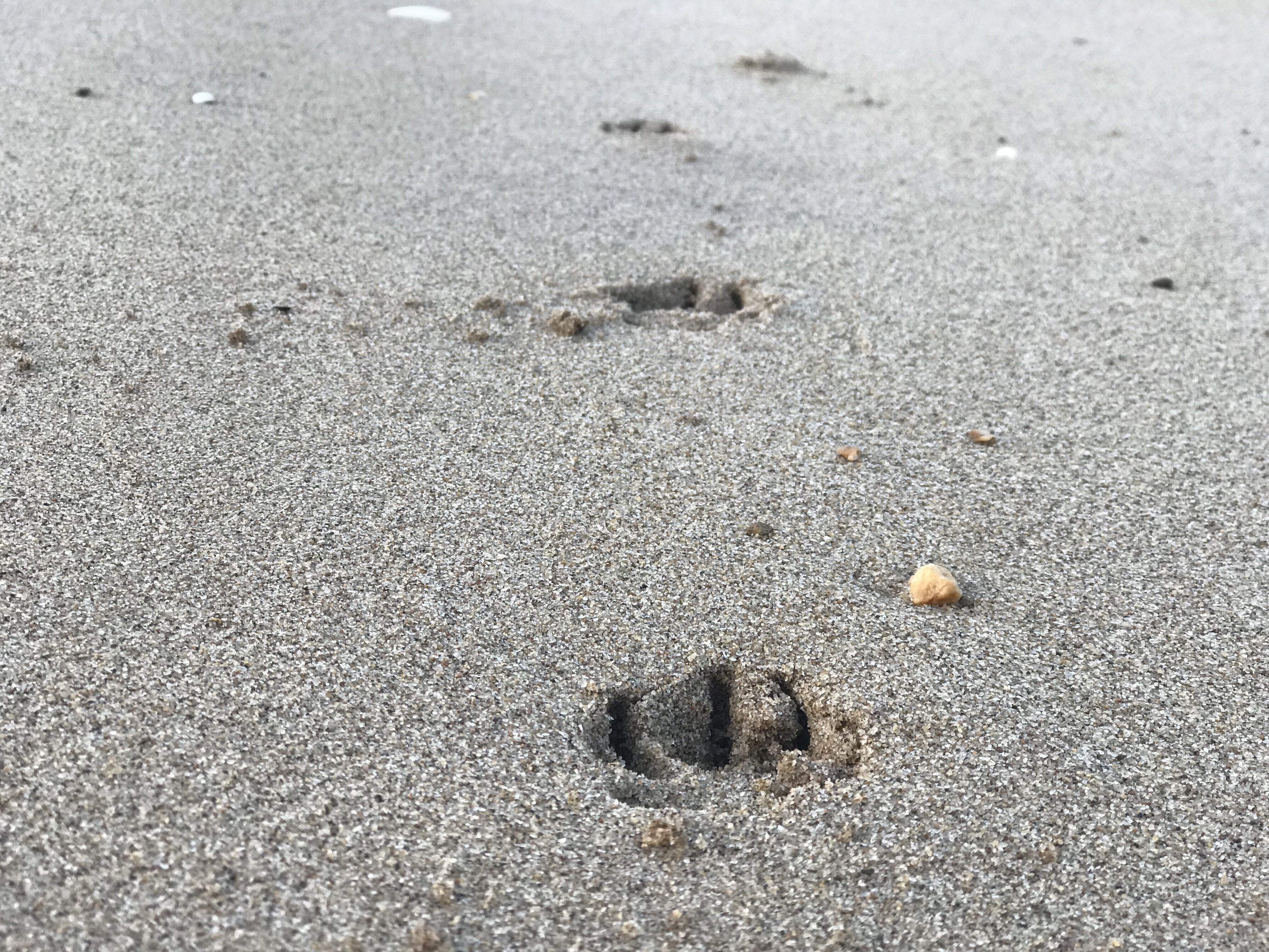 又见东兴,故地重游口岸都关闭了,不同时间不同伙伴不同心情