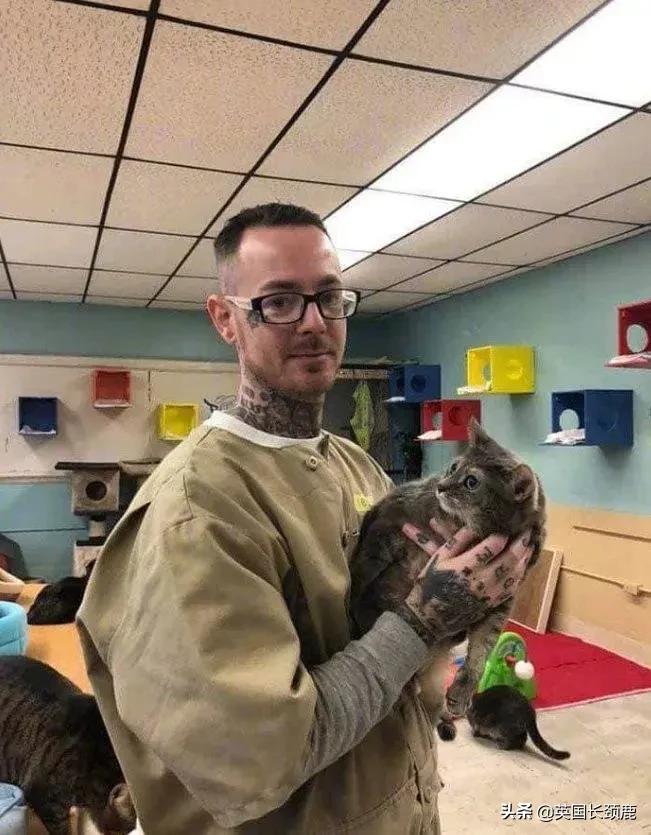 羊驼忧郁症,羊驼抑郁症治疗