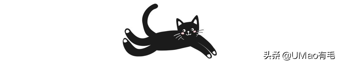 猫咪特别小如何分辨它是不是矮脚,什么小猫咪又乖又掉毛少