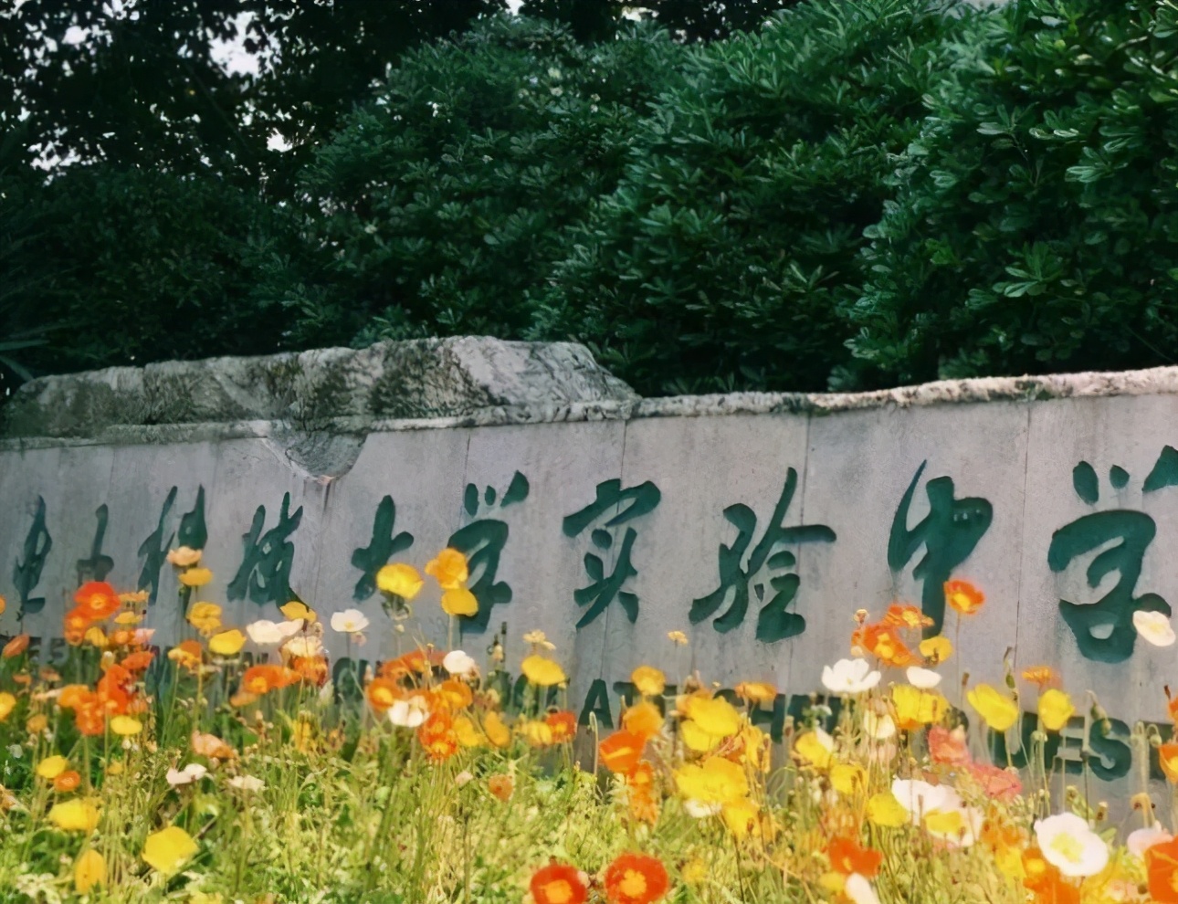 成都八里庄初中划片,成都龙泉驿初中划片