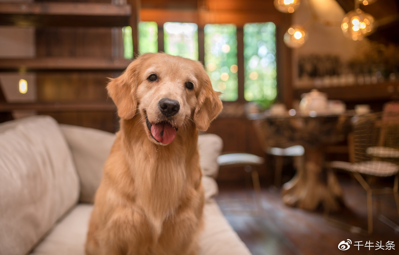 线下连亏两年，线上年入千万：淘宝成创业最佳选择